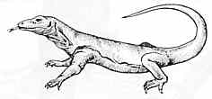 serpent2.jpg (3509 octets)